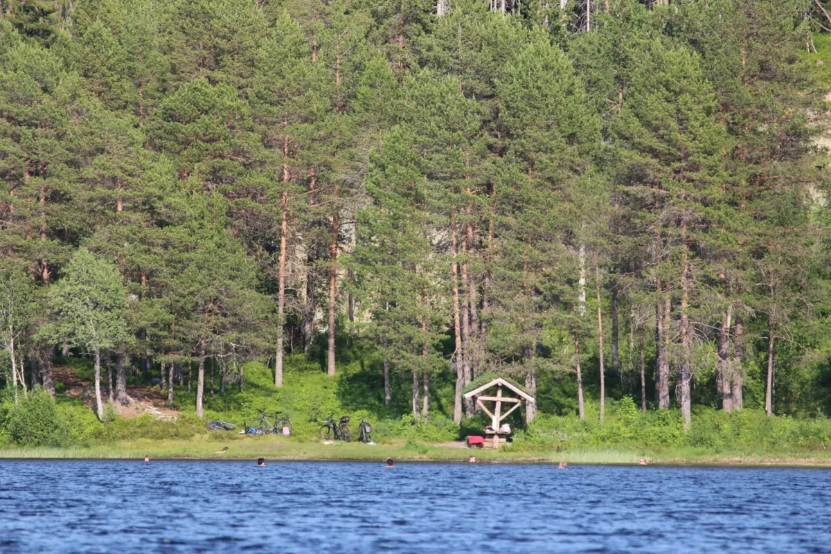 Hoder til folk som bader stikker opp av vannet, en liten badeplass i bakgrunnen, foto