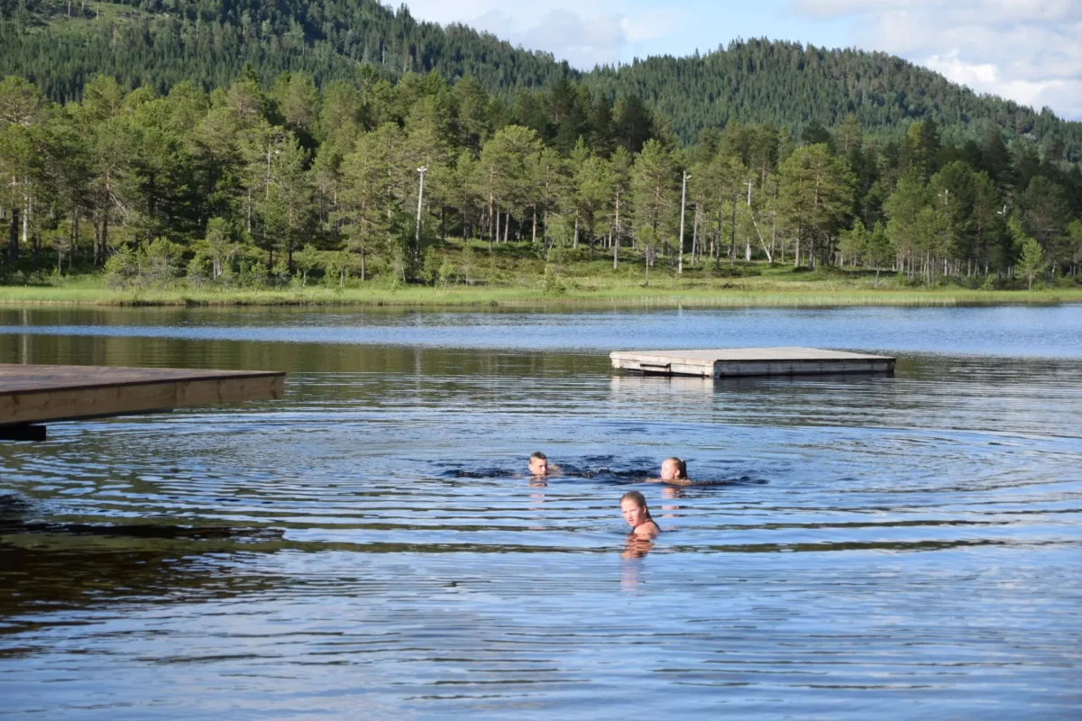 Tre personer svømmer i vannet, foto