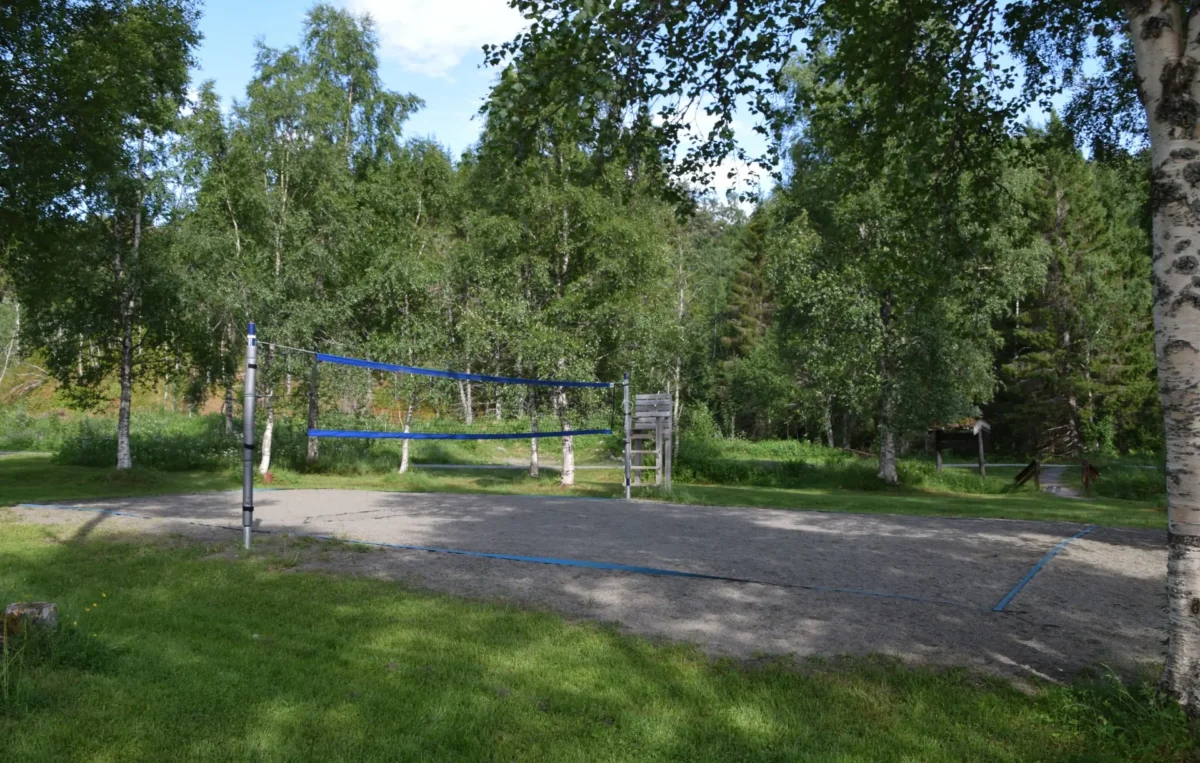 Volleyballbane med trær rundt, foto