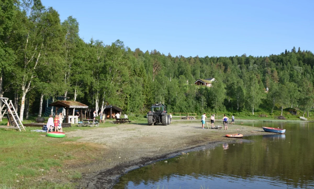 En traktor kjører bortover stranda, foto