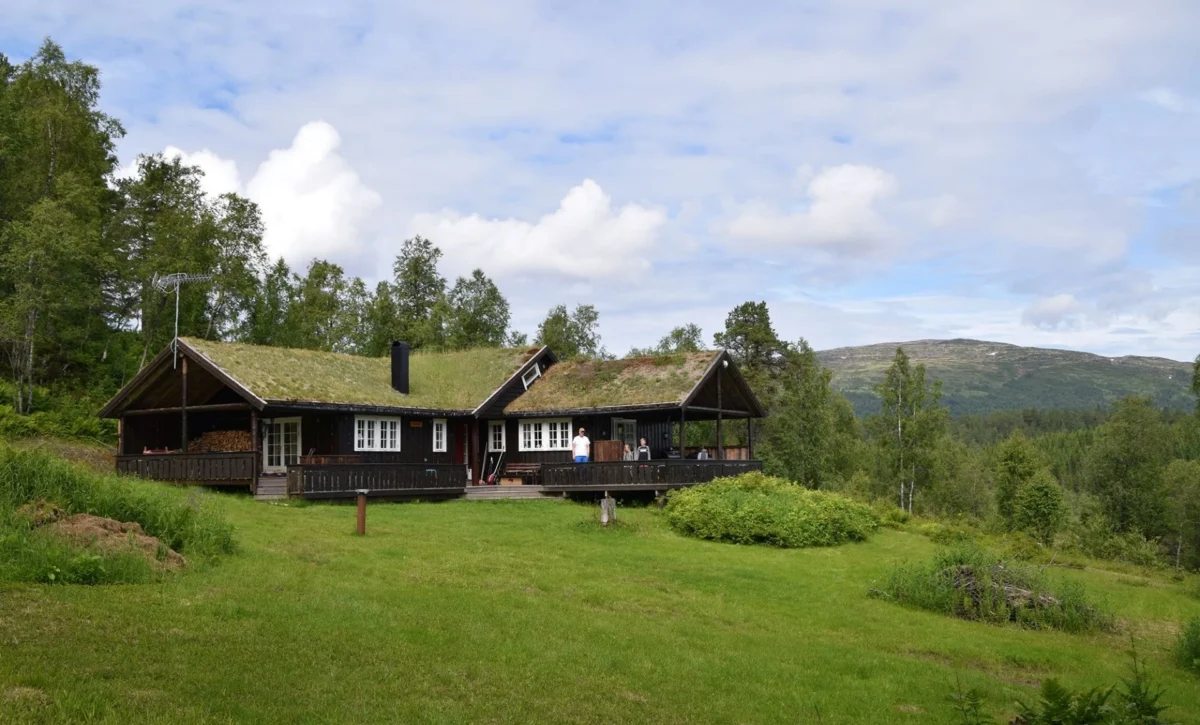 Tømmerhytte med torvtak, sommerdag med fjell i bakgrunnen, foto