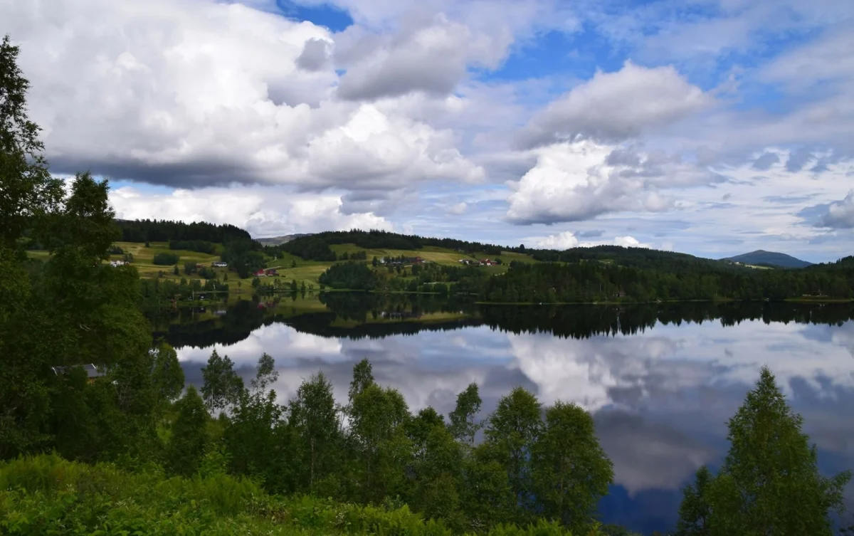 Utsikt over vannet, foto