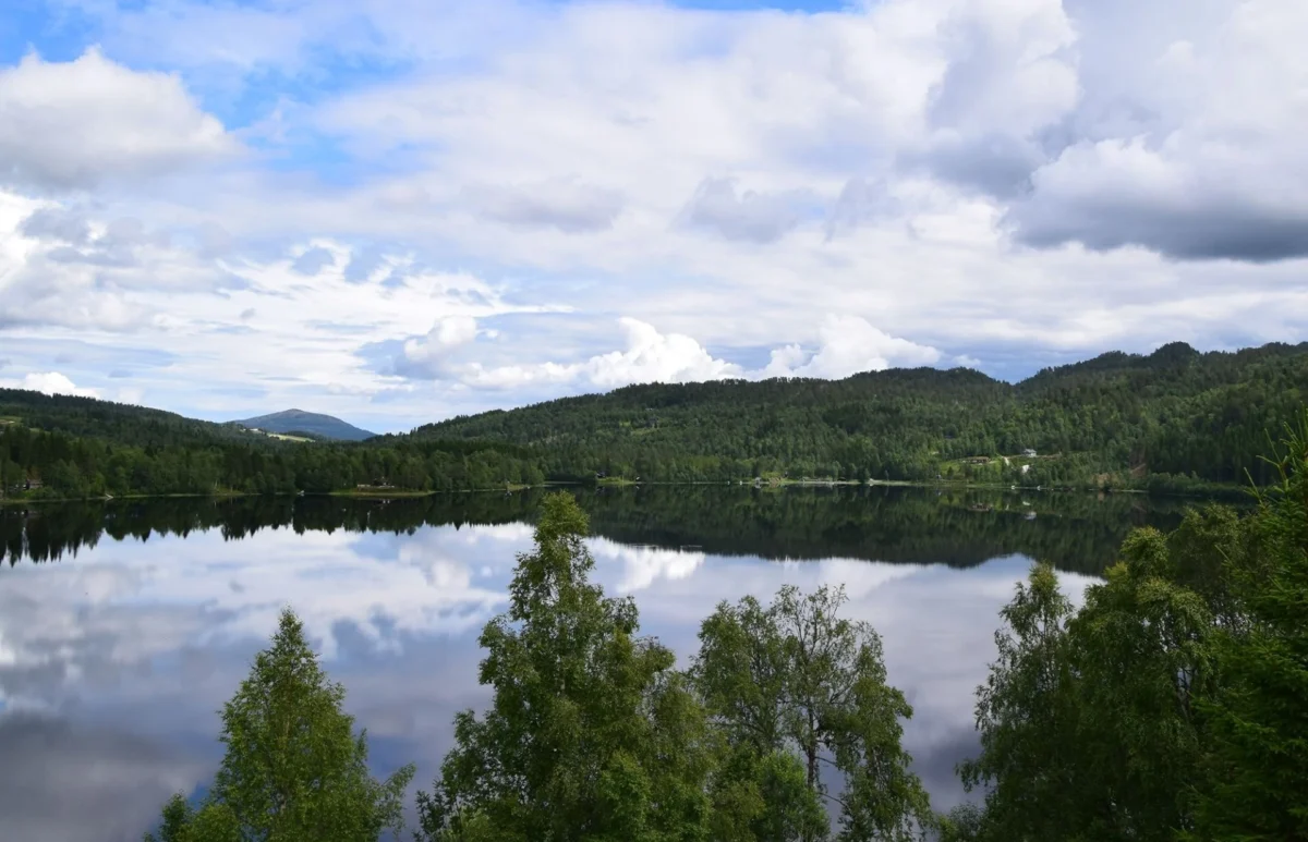 Utsikt over vannet, foto