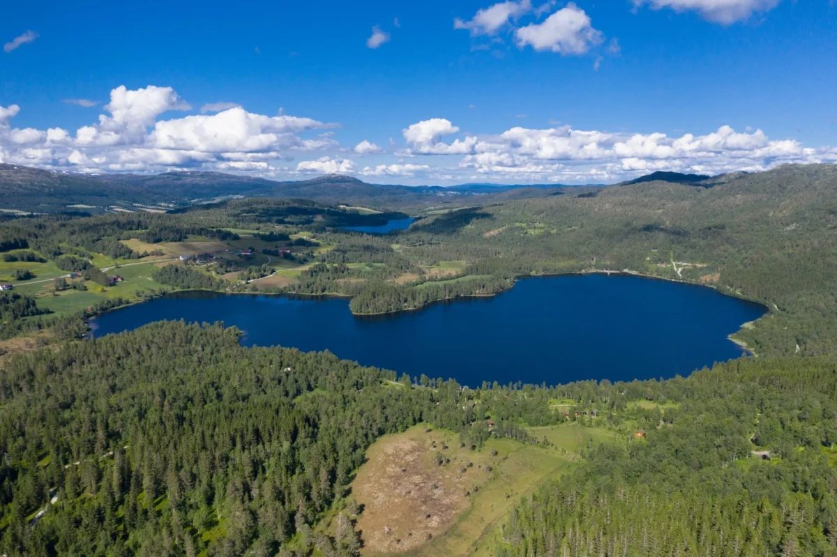 Fjellandskap med vann, sommerlig, dronefoto