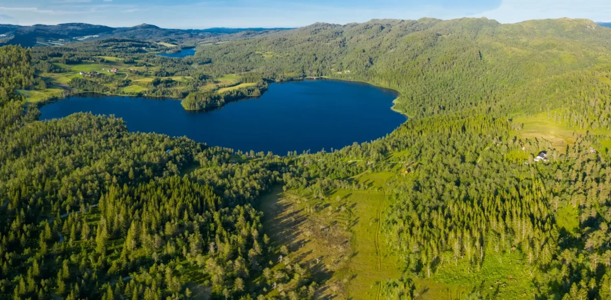 Fjellandskap med vann, sommerlig, dronefoto