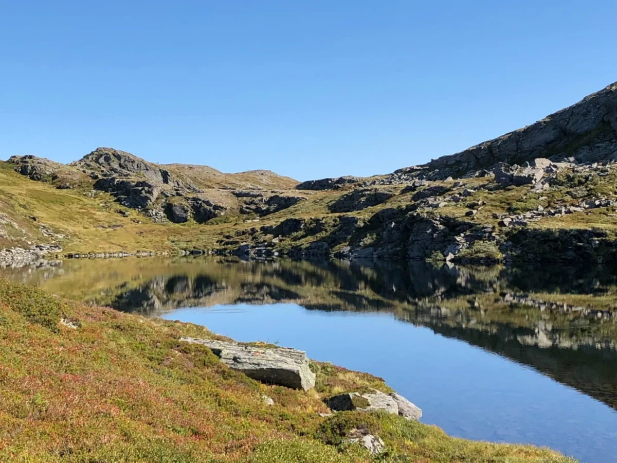 Speliblankt tjønn, sommerlig, foto