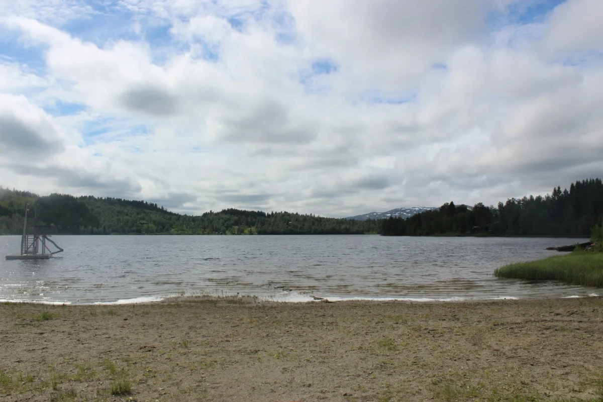 Strand med vann og fjell i bakgrunnen, foto