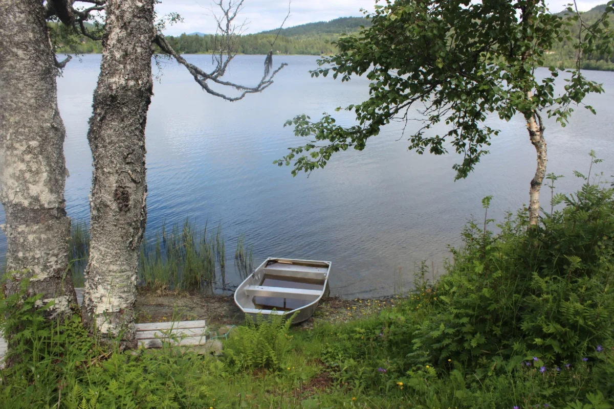 Liten båt ved vannkanten, foto