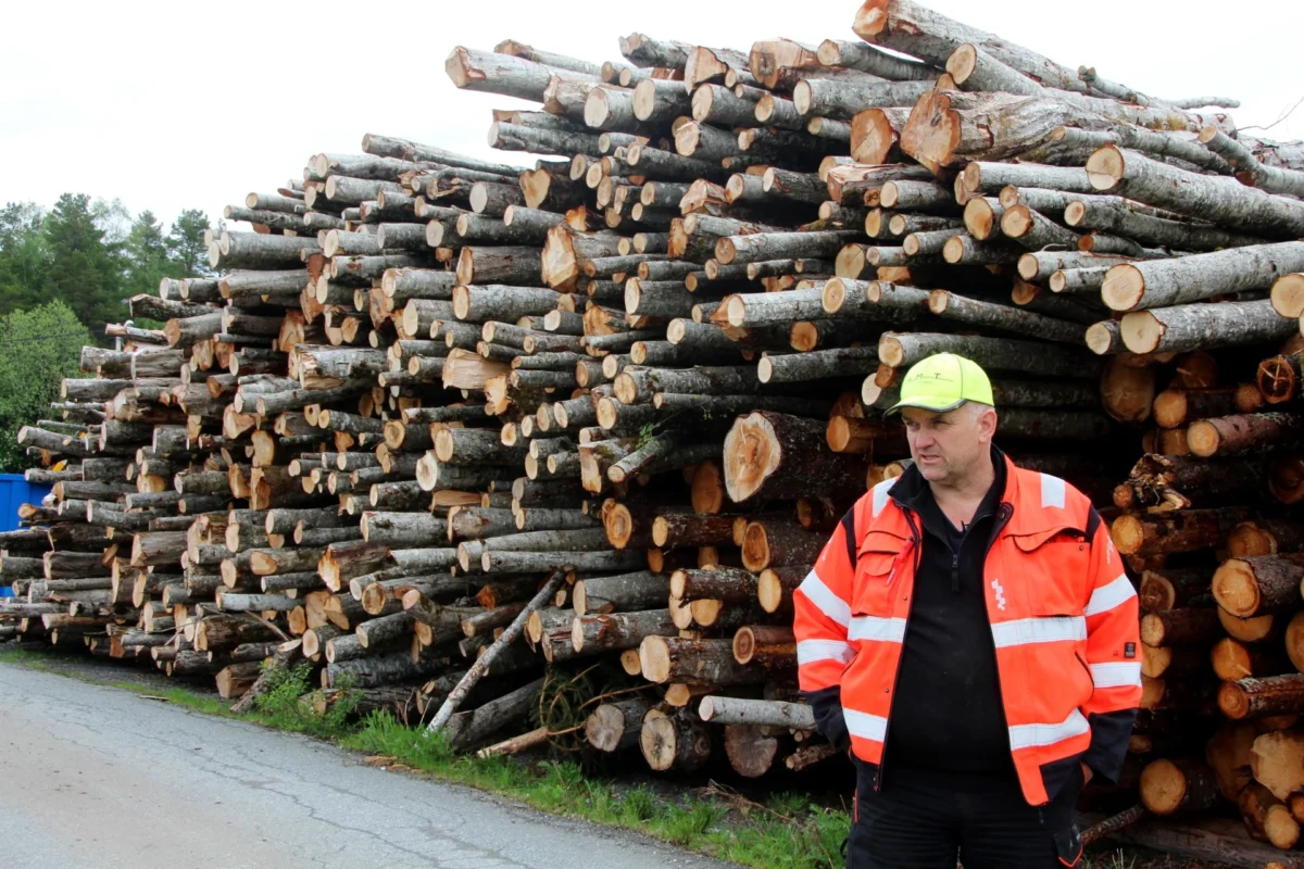 Person i arbeidstøy står foran en haug med tømmerstokker, foto